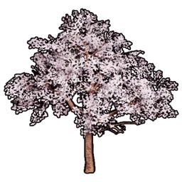 Faux Cherry Blossoms B icon