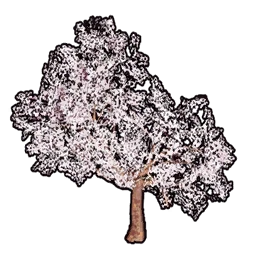 Faux Cherry Blossoms C icon