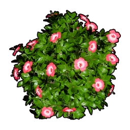 Faux Flowering Bush A icon