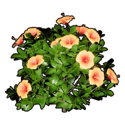 Faux Flowering Bush B icon