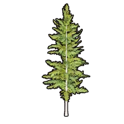 Faux Greenery C icon