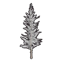 Faux Snowy Greenery C icon