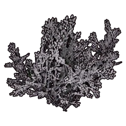 Faux White Bush icon