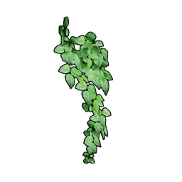 Small Wall Ivy's icon