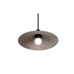 Ceiling Lamp