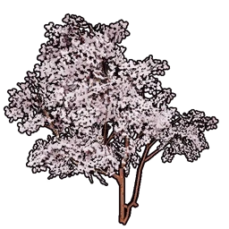 Faux Cherry Blossoms Set